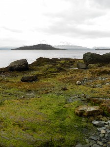Tierra del Fuego.  The green seemed greener amid all the white.